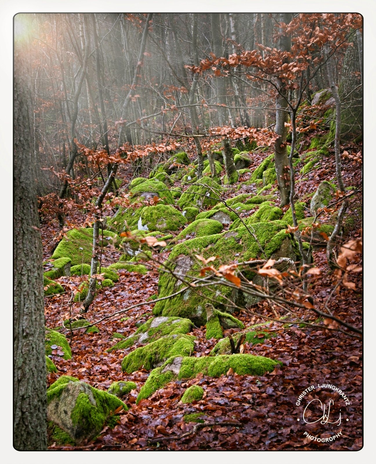 20201210-Bokhultet-20
